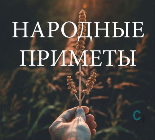 Народные приметы на 24 ноября 2024 года: что нельзя делать в этот день