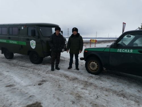 Аксубаевцам рекомендуют Новый год встретить с законной елкой