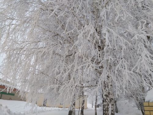 Прогноз погоды на 12 февраля