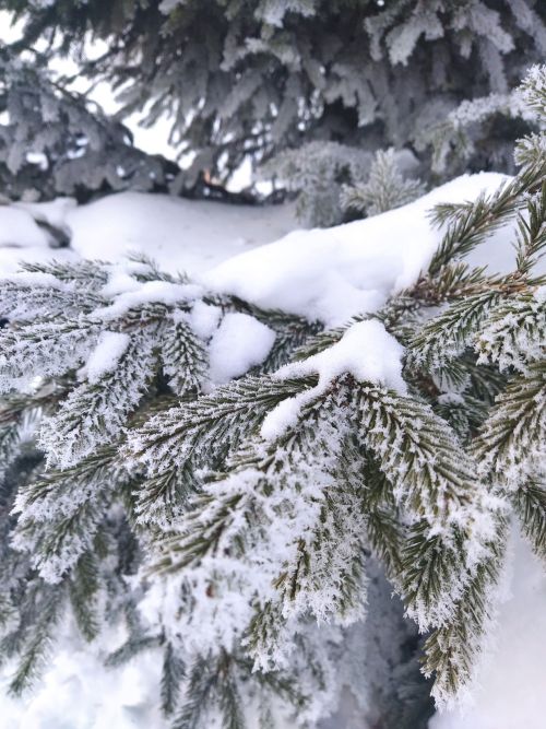 Народные приметы на 13 февраля 2024 года: что нельзя делать в этот день