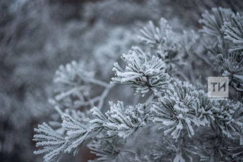 Прогноз погоды на 14 февраля