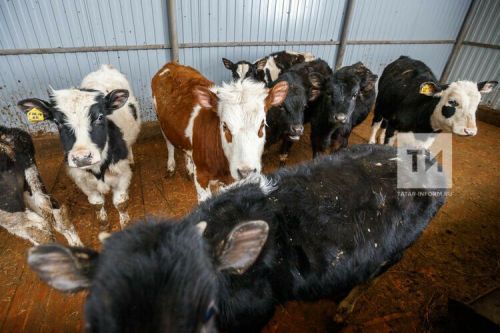 Народные приметы на 19 февраля 2024 года: что нельзя делать в этот день