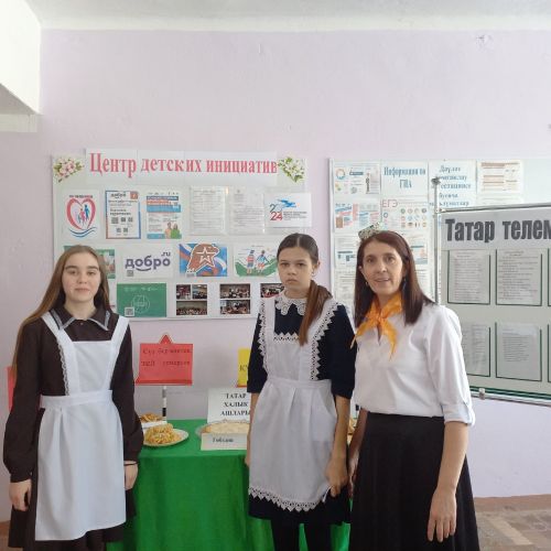 Киңәшчеләрнең муниципаль координаторы Иске Ибрай мәктәбендә балалар инициативалары үзәгендә булды