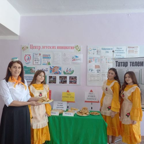 Киңәшчеләрнең муниципаль координаторы Иске Ибрай мәктәбендә балалар инициативалары үзәгендә булды