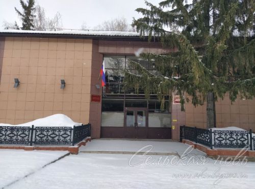 В Аксубаевском районном суде осудили мошенника