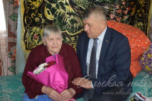 Аксубаевский ветеран одна, но не одинока – добрые люди рядом