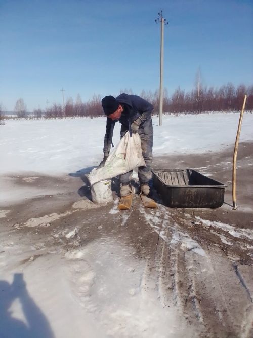 Аксубаевские лесоводы принуждают к таянию снег на посевах хвойных деревьев