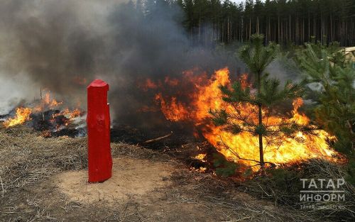 Сегодня в республике объявлен особый противопожарный режим