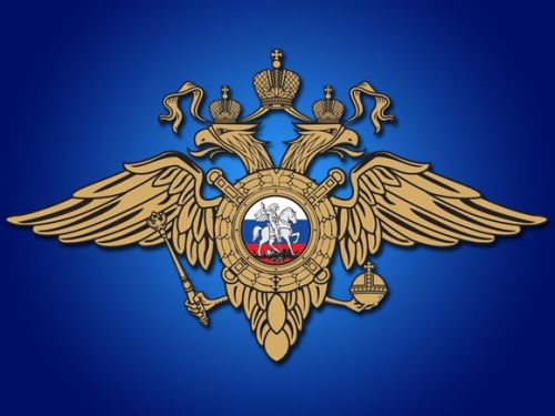 Иностранцы едут в Аксубаево заработать и с частным визитом