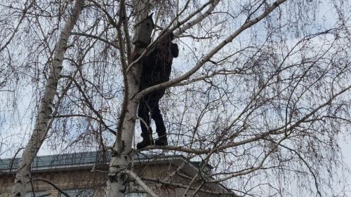 Воспитанники Кривоозерской школы заботятся о птицах до первых насекомых