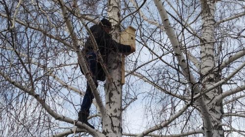 Воспитанники Кривоозерской школы заботятся о птицах до первых насекомых