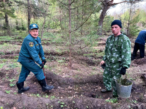 Аксубай урманчылыгында яңа «Хәтер бакчасы»