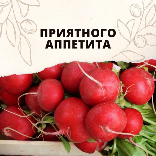 Салат с редисом: рецепт легкого и сытного весеннего блюда