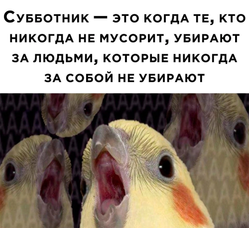 Экояз тәмамланып килә