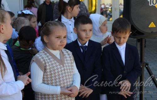 В школах Аксубаевского района прозвенели последние звонки