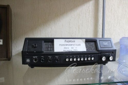 Район китапханәчеләре һөнәри бәйрәмнәрен билгеләп үттеләр