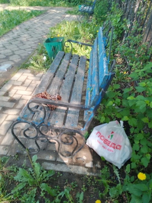 Отдыхающих на роднике Каменный овраг ждет разочарование