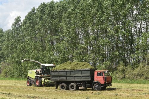 Аксубаевские растениеводы обеспечат сытную зимовку скота