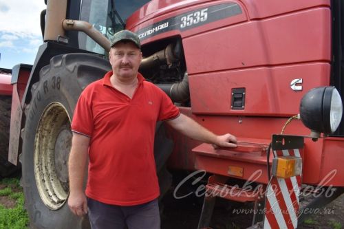 На полях аксубаевского «Волга Селект» появились дружные всходы – залог хорошего урожая