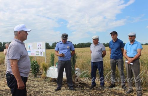 В Аксубаевском районе решали, как лучше провести уборочный сезон