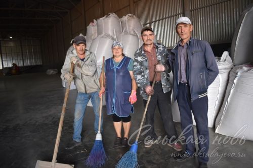 Киләсе ел уңышына бүген нигез салына