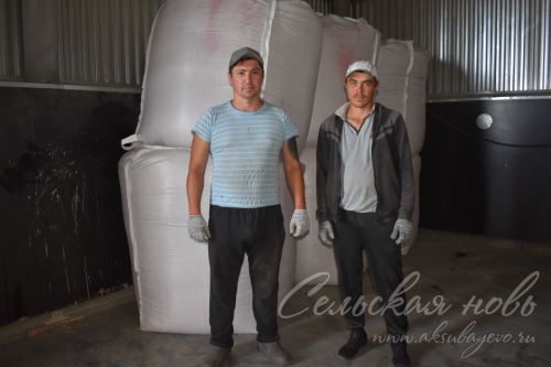 Киләсе ел уңышына бүген нигез салына