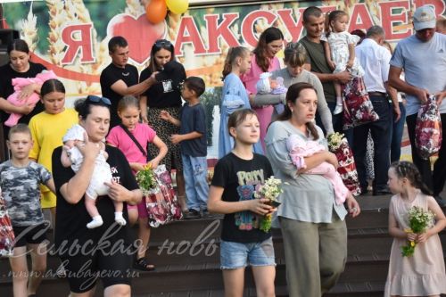 В Аксубаеве чествовали семьи долгожителей, с малышами, успешные в культуре и спорте