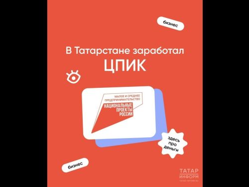 В Татарстане по нацпроекту создали новый сервис для предпринимателей