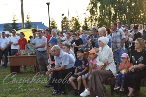 В Аксубаеве чествовали семьи долгожителей, с малышами, успешные в культуре и спорте