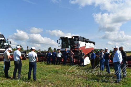 В Аксубаевском районе к жатве хлебов готовы
