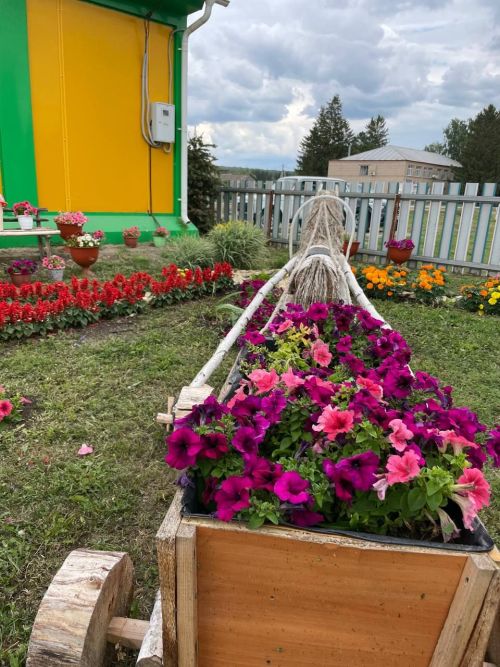 В Аксубаевском районе есть чудесный, цветущий ветеринарный пункт