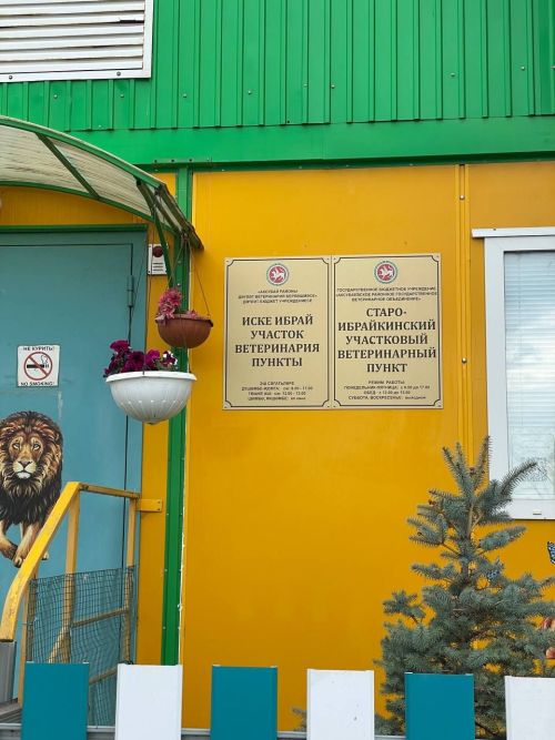 В Аксубаевском районе есть чудесный, цветущий ветеринарный пункт