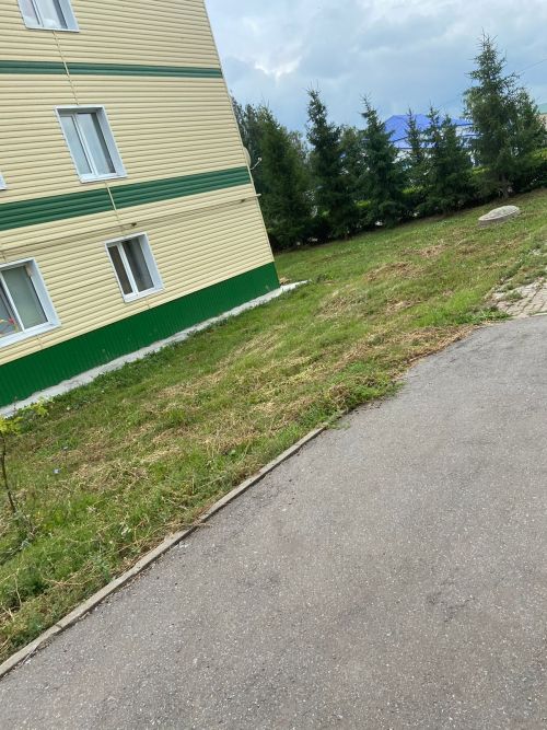 Хакимият тырыша, кешеләр битараф