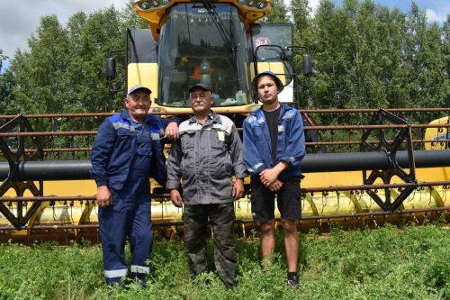 На аксубаевских полях урожай убирают потомственные хлеборобы