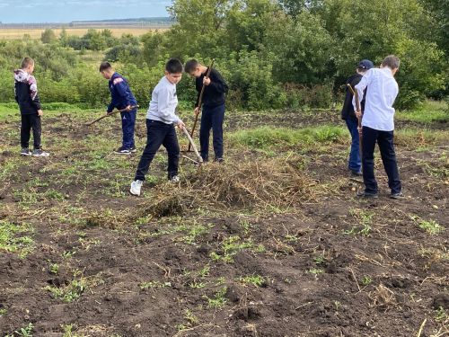 Аксубай мәктәбендә экология атнасы узды