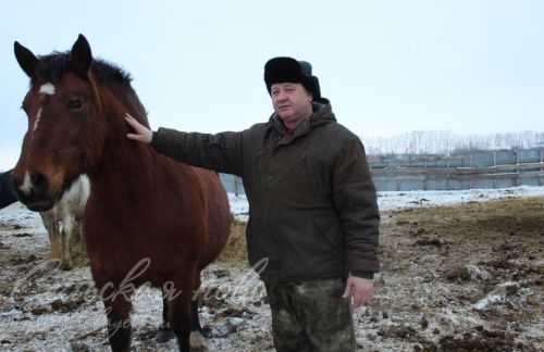 Аксубаевский фермер: «Не жалею о том, что работаю и живу на селе»