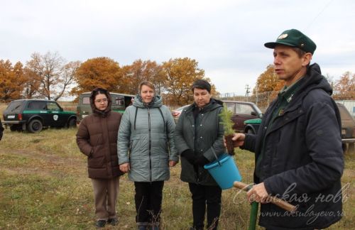 Аксубаевский район поддержал Всероссийскую акцию «Сохраним лес»