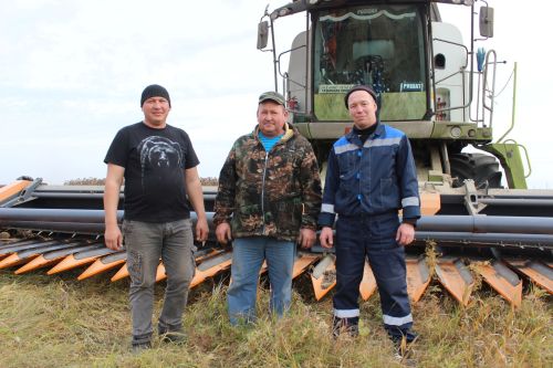 Аксубаевские земледельцы убирают  «черный урожай» полей
