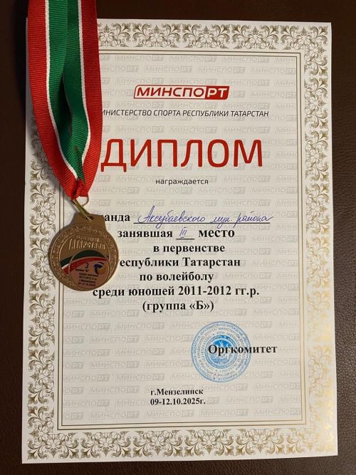 Волейболисты Аксубаевского района завоевали бронзу на первенстве Татарстана