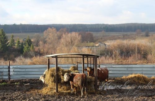 Условия – как в городе, а живем на селе