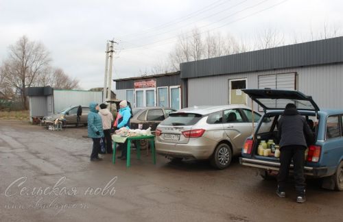 Аксубаевская сельхозярмарка: натуральное и свежее для каждого дома