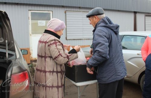 Аксубаевская сельхозярмарка: натуральное и свежее для каждого дома