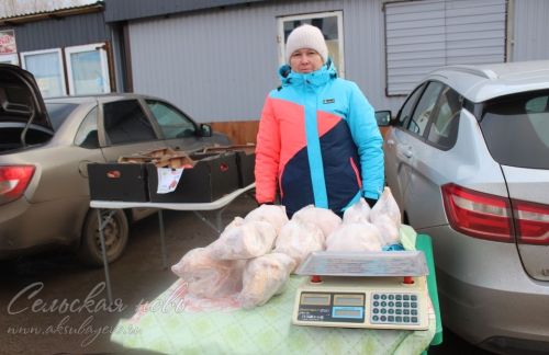 Аксубаевская сельхозярмарка: натуральное и свежее для каждого дома