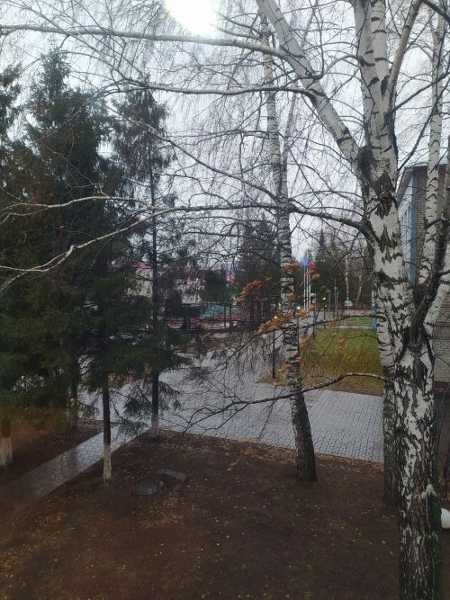 Прогноз погоды в Аксубаеве на 25 ноября