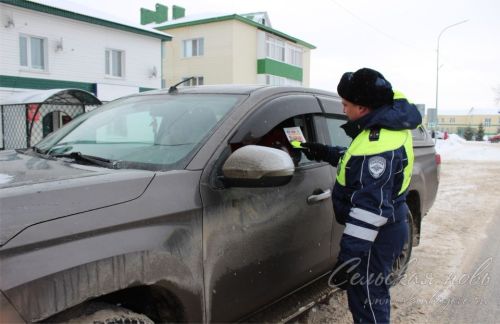 Аксубаевские госавтоинспекторы поздравили водителей и пешеходов с наступающим Новым годом