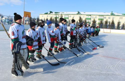 Аксубаевцы выиграли главный кубок «Золотой шайбы»