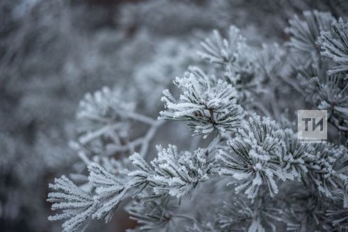 Прогноз погоды в Аксубаеве на 20 февраля