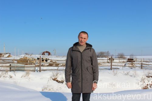 Житель Аксубаевского района сельской сцене предпочел фермерское дело