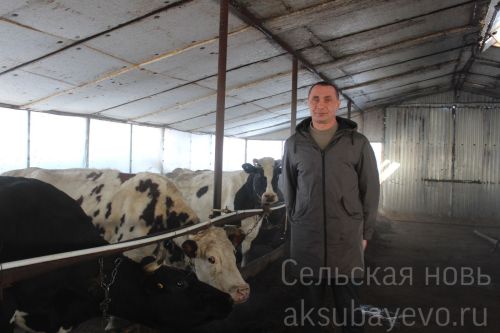 Житель Аксубаевского района сельской сцене предпочел фермерское дело