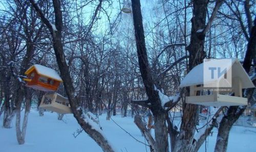 Прогноз погоды в Аксубаеве на 4 февраля